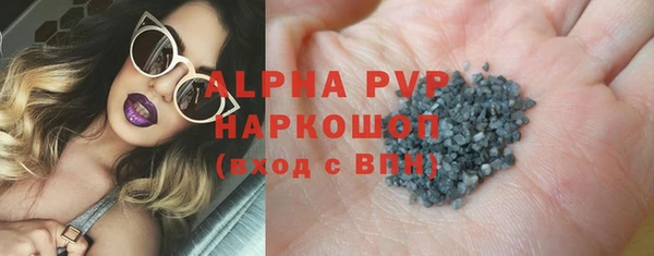 шишки Горняк