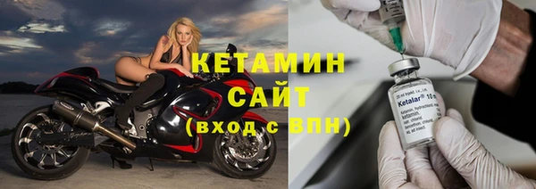 шишки Горняк