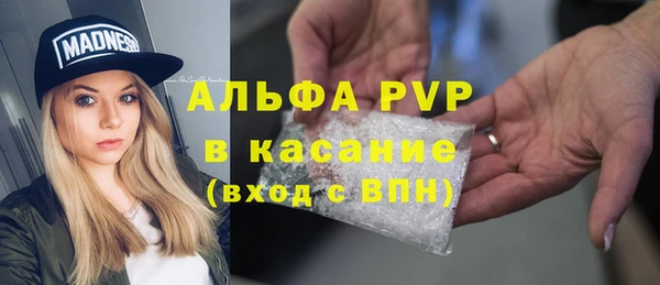 шишки Горняк