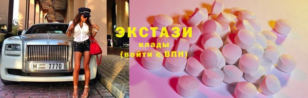 шишки Горняк