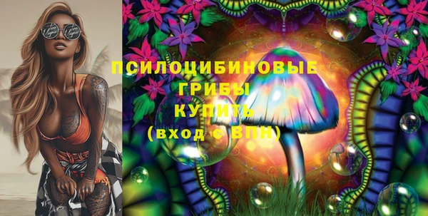 хмурый Горно-Алтайск