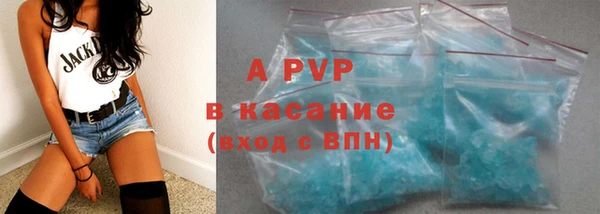 шишки Горняк