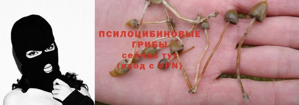 хмурый Горно-Алтайск