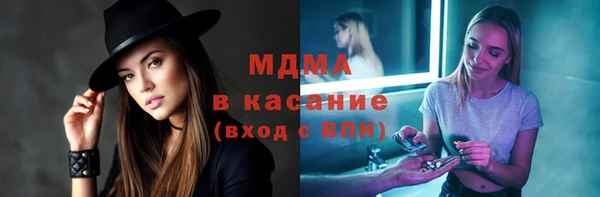 шишки Горняк