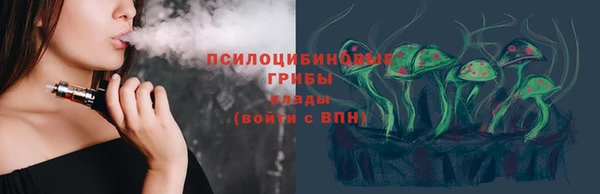 хмурый Горно-Алтайск