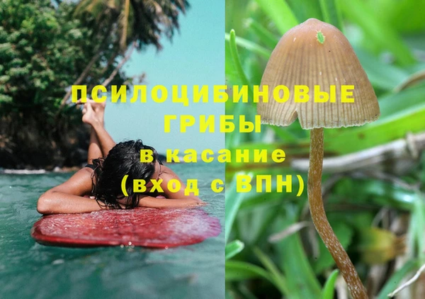 крисы Горнозаводск