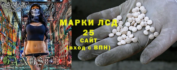 шишки Горняк