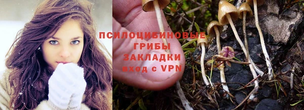 хмурый Горно-Алтайск