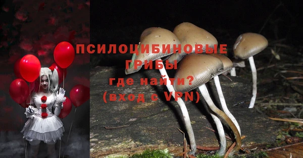шишки Горняк