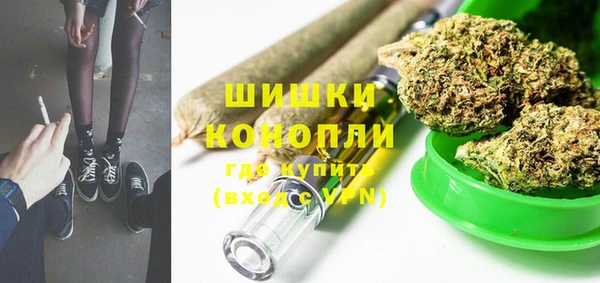шишки Горняк