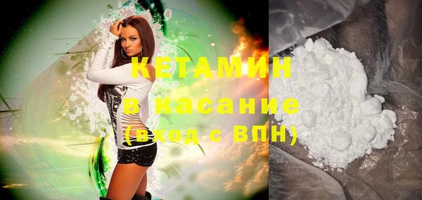 шишки Горняк