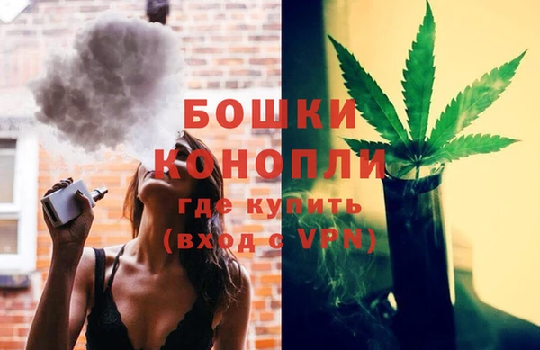 шишки Горняк