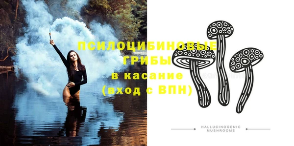 шишки Горняк