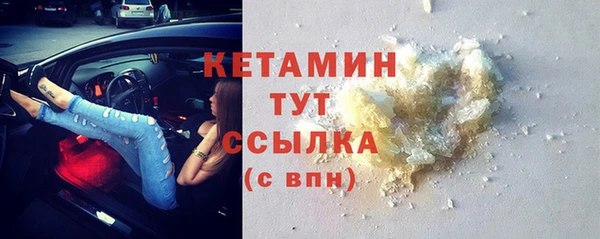 шишки Горняк