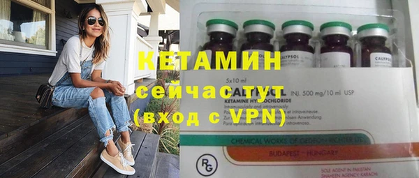 шишки Горняк