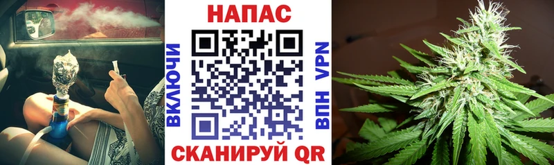 Марихуана MAZAR  Купить закладки  Новомосковск 